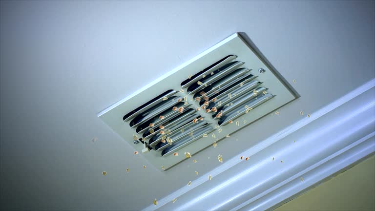 Best Professional Duct Cleaning Services  in Magnet Cove, AR