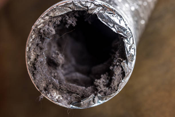 Best Emergency Air Duct Cleaning  in Magnet Cove, AR